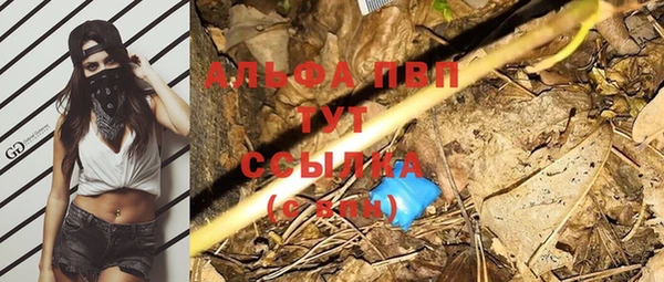 трава Абаза