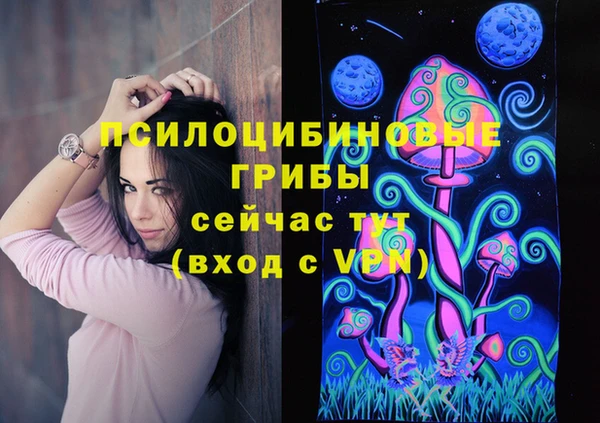 МДПВ Абинск