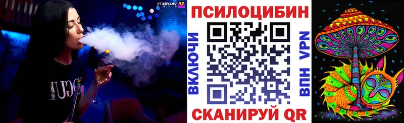где купить наркоту  Правдинск  ссылка на мегу рабочий сайт  Псилоцибиновые грибы мицелий 